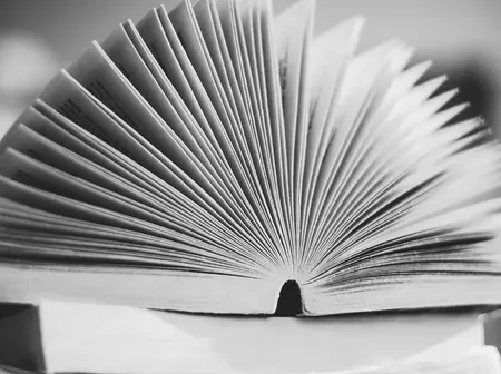 knowledge game knowledge game